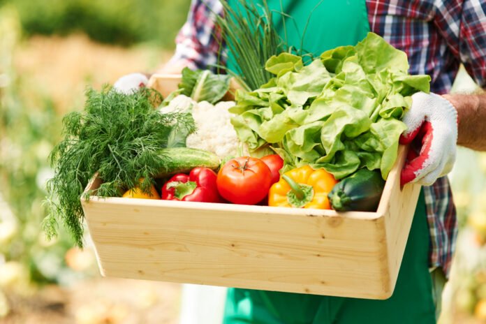 uma bela cesta de produtos in natura.