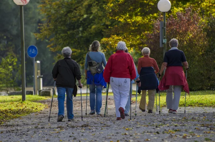 idosos fazendo caminhada em um parque arborizado.