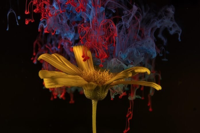 Uma flor dourada com fumaças de varias cores vivas.