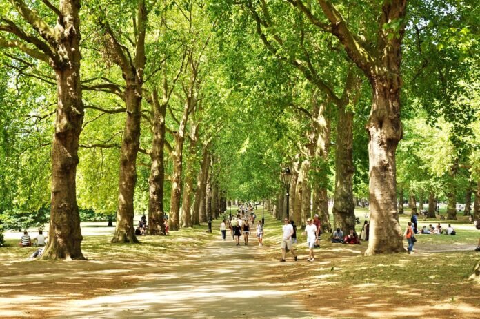 área bastante arborizada no Green Park de londres.