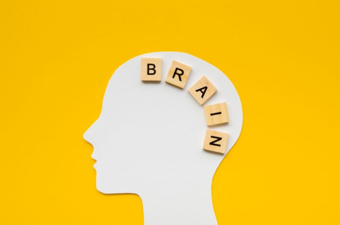 arte de uma cabeca humana com as palavra Brain ( cerebro )